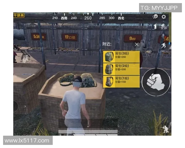 和平精英战术解析V5控制体系的全面解读与实战应用技巧