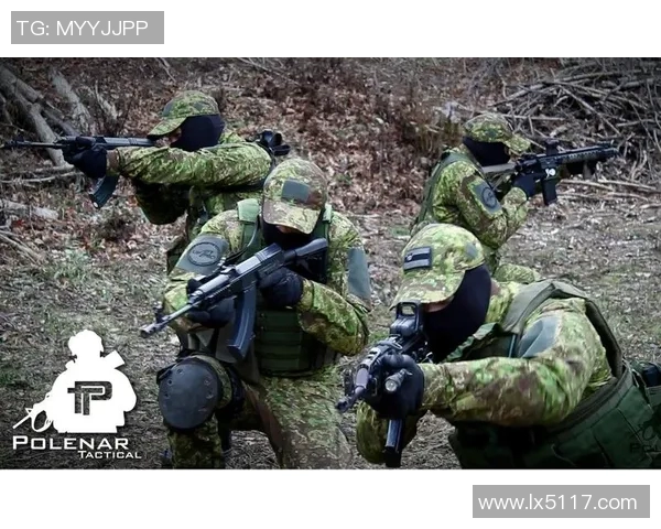 深入分析JDG战队的进攻策略与战术执行细节