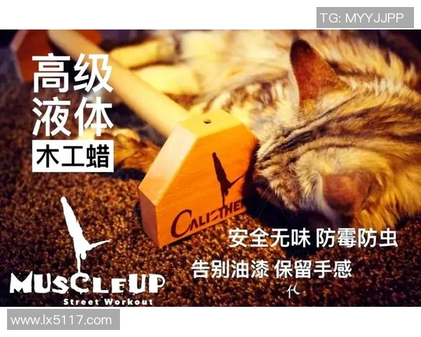 科学飞盘训练技巧与方法提升运动实力的全面指南